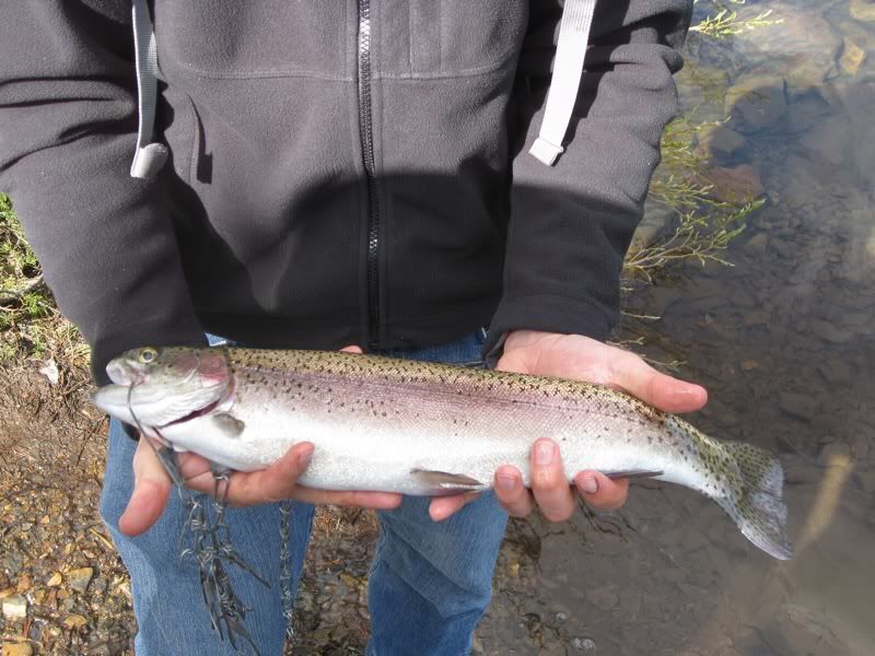 Awesome fishing in Mammoth area 7/9/11 7/15/11